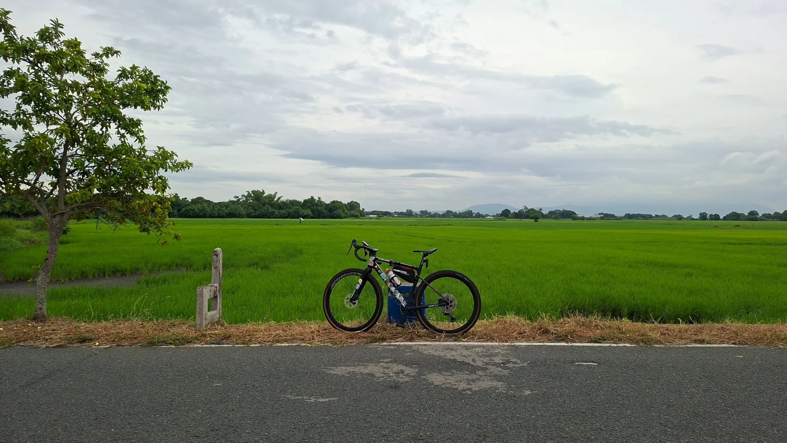 A bicycle beside green ricefields