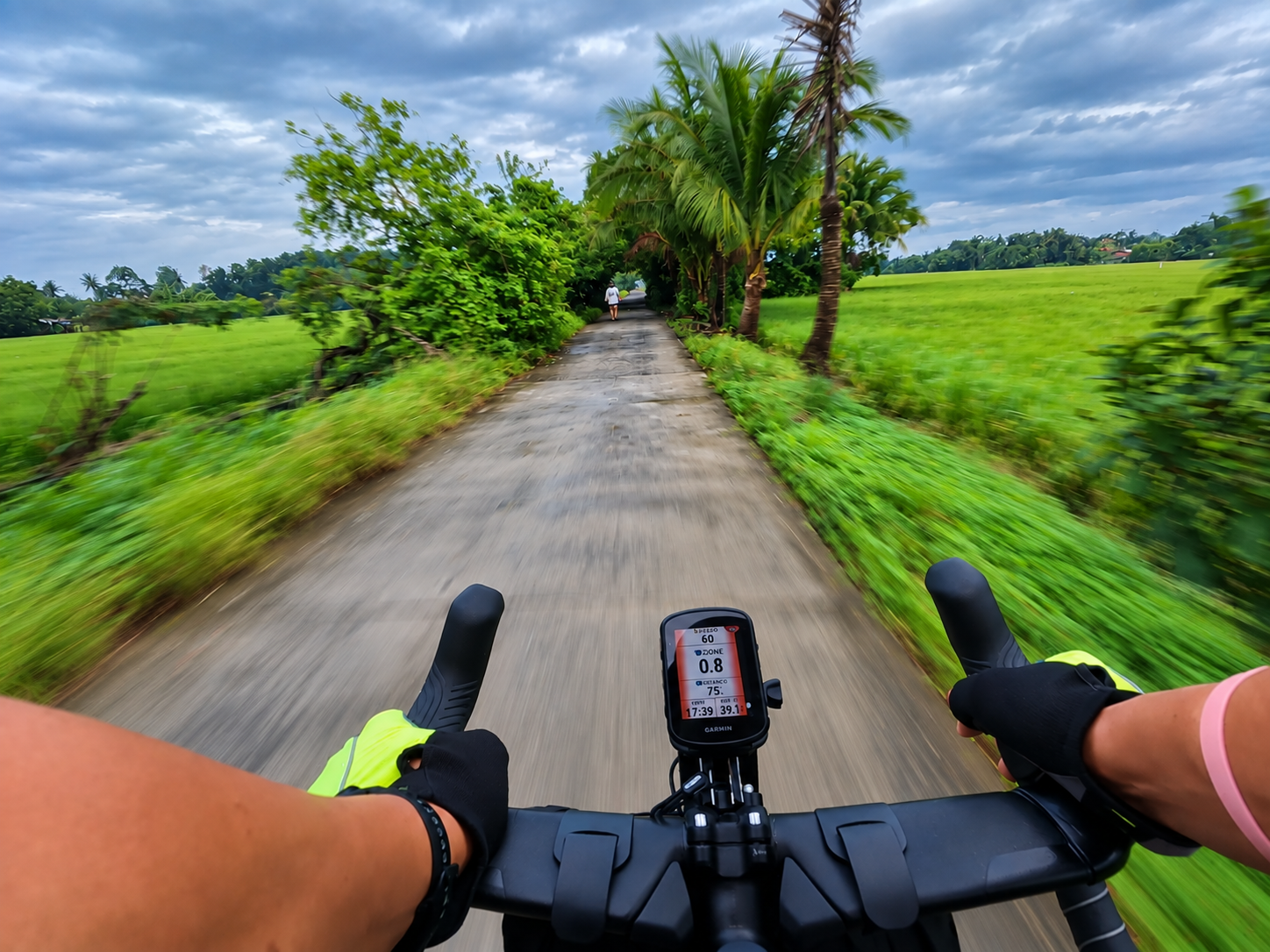 A road cutting across vast rice fields